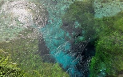 SEBEREFLEXE jako cesta k hlubšímu poznání sebe sama