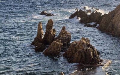 LÁSKYPLNOST vs. LASKAVOST: Síla, která se nehodí do drsného světa?